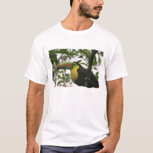 Camiseta Toucan na selva