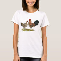 Tournaisis Bantams