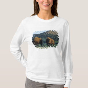 Camiseta Touro bisão no Parque Nacional Waterton Lakes