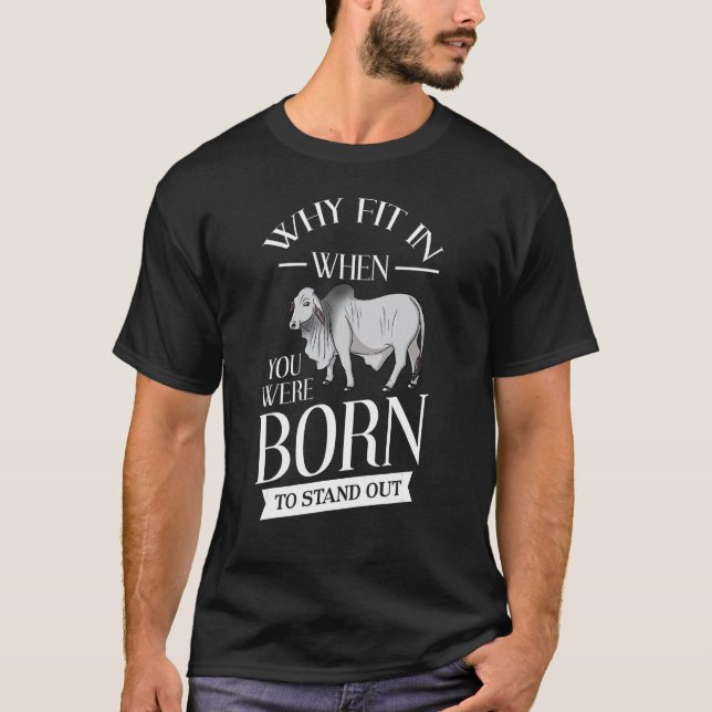 Camiseta Touro Brahman Gado Mini Zebu Vaca (Frente)