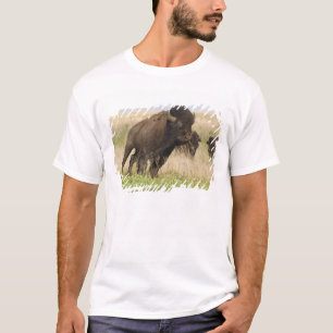 Camiseta Touro de bisão jovem e feroz no Tallgrass