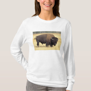 Camiseta Touro de Bisão no Parque Nacional de Yellowstone