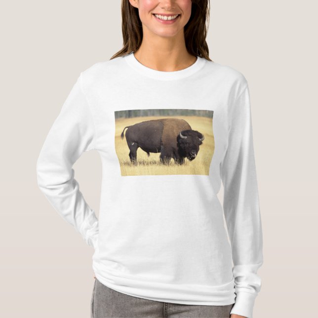Camiseta Touro de Bisão no Parque Nacional de Yellowstone (Frente)