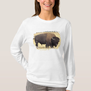 Camiseta Touro de Bisão no Parque Nacional de Yellowstone
