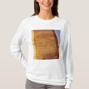 Camiseta Touros selvagens de caça de Ramesses III