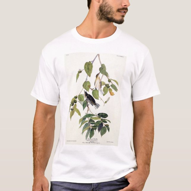 Camiseta Toutinegra outonal (Frente)