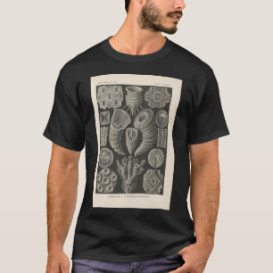 Camiseta Traças Tineida Ernst Haeckel
