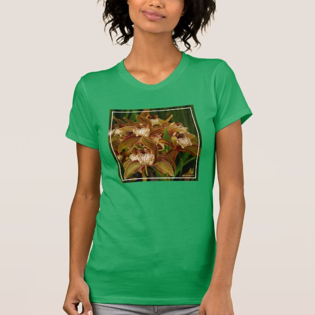 Camiseta Tracyanum do Cymbidium (Frente)