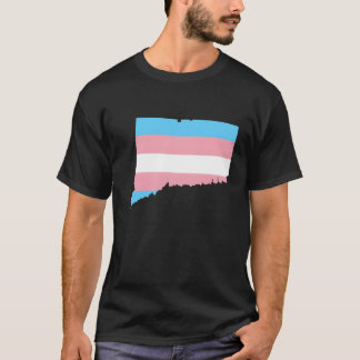 Camiseta Trans Flag Connecticut LGBT Pride Support retro