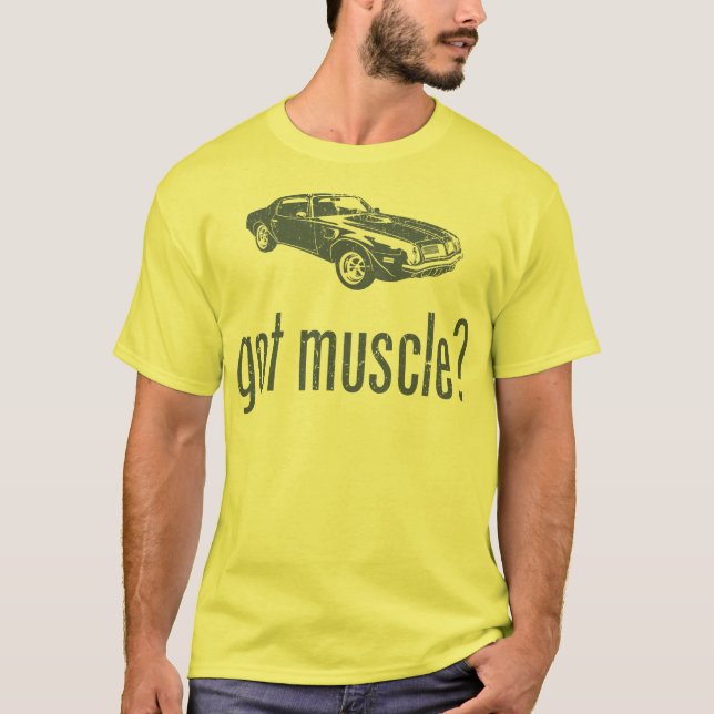 Camiseta Transporte 1974 de Pontiac Firebird 455 Am (Frente)