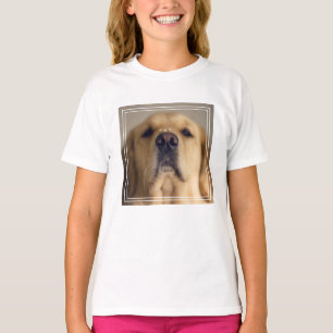 Camiseta Tratamento de equilíbrio entre Ouros e recuperado