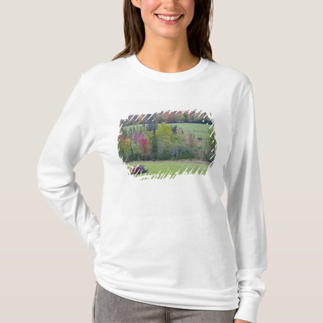 Camiseta Trator com fardo de feno em campo verde com (Frente)