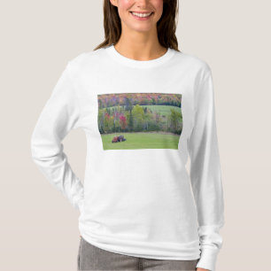 Camiseta Trator com fardo de feno em campo verde com
