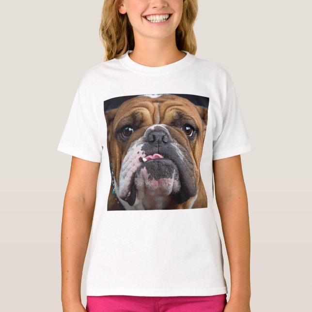 Camiseta Travesseiro Decorativo Bulldog Inglês (Frente)