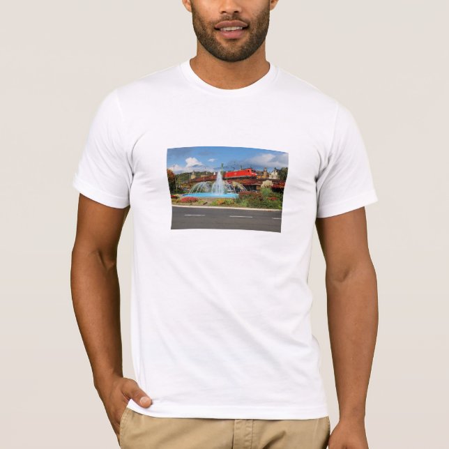 Camiseta Trem de carga em Linz à reno (Frente)