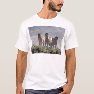 Camiseta Três amigo
