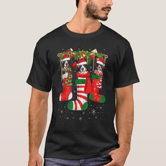 Camiseta Três Cachorros De Montanha Bernês Na Pata De Natal (Frente)