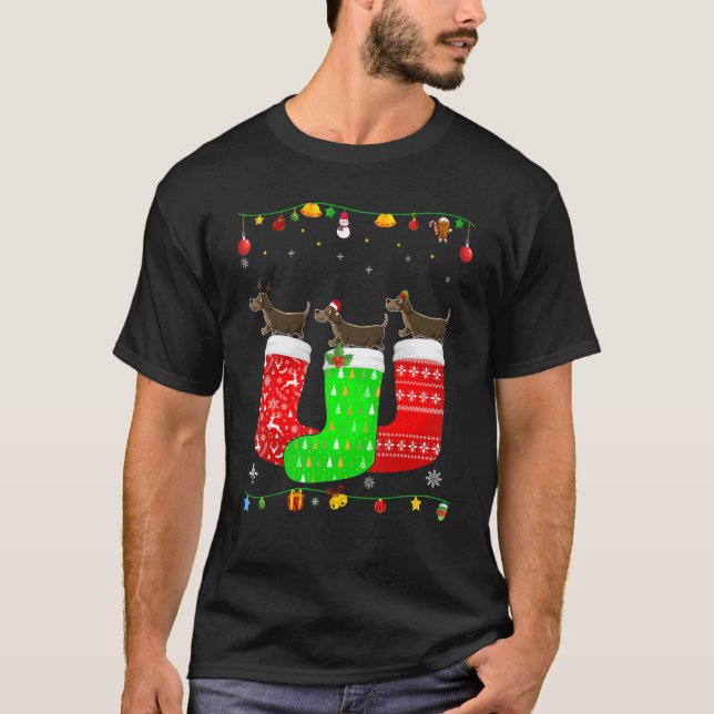 Camiseta Três Cães Dachshund Em Meias De Natal Que Correspo (Frente)