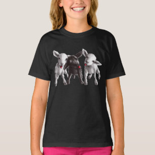 Camiseta Três carneiros insolentes engraçados