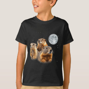 Camiseta Três esquilos engraçados Dia do Esquilo