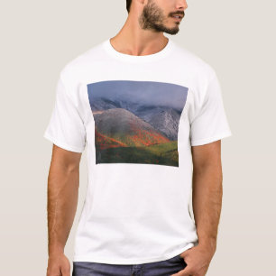 Camiseta Três estações de folhagem, bordos vermelhos e outo