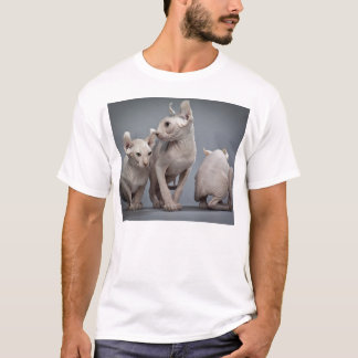 Camiseta Três gatos calvos