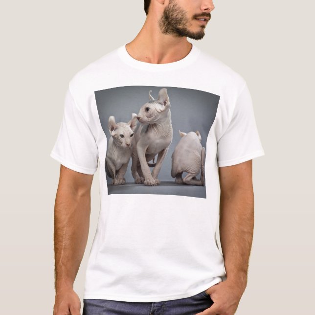 Camiseta Três gatos calvos (Frente)