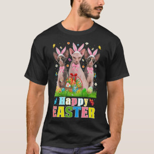 Camiseta Três Gatos Sphynx Coelhos e Páscoa de Ovos de Pásc