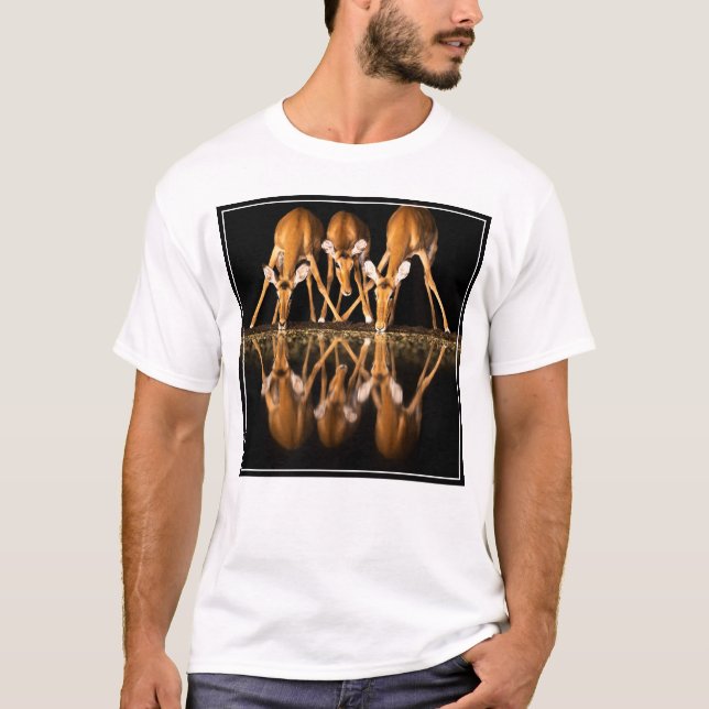 Camiseta Três impalas bebem juntos à noite (Frente)
