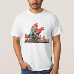 Camiseta três papagaios coloridos