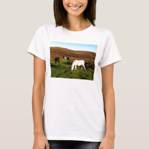 Camiseta Três pôneis em Dartmoor