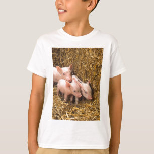 Camiseta Três Porquinhos
