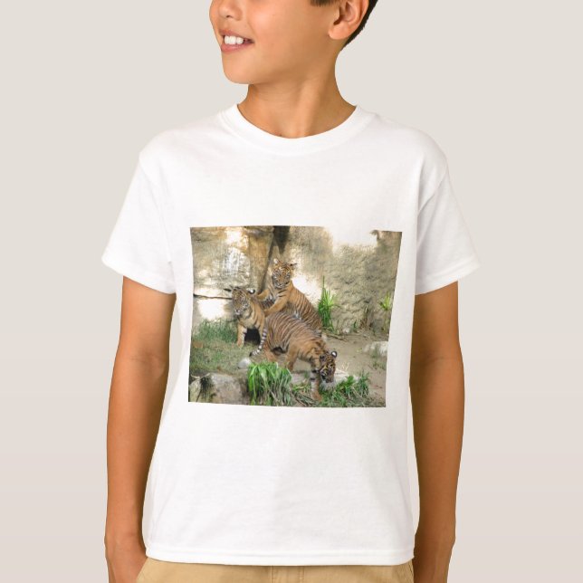 Camiseta Três tigre Cubs (Frente)