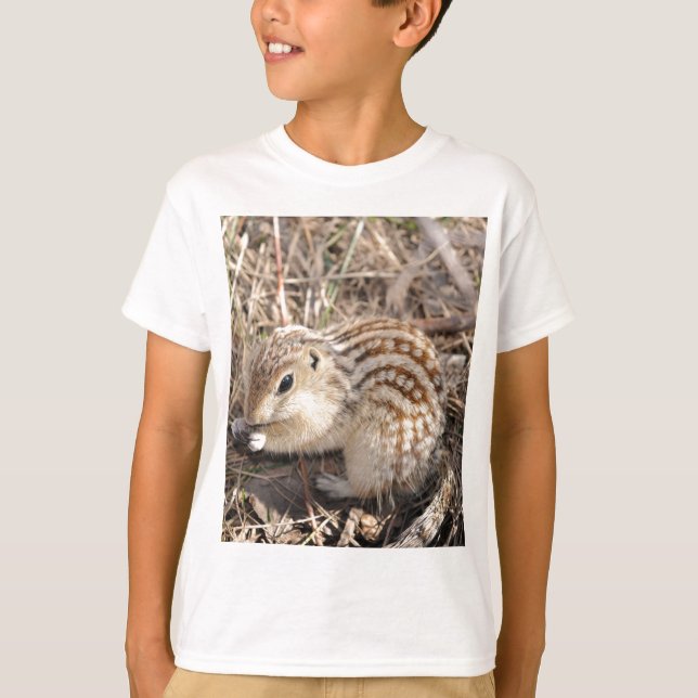 Camiseta Treze alinharam o esquilo à terra (Frente)