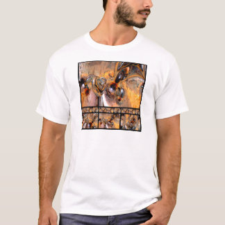 Camiseta Treze peças