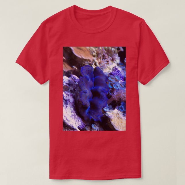 Camiseta Tridacna crocea (Frente do Design)