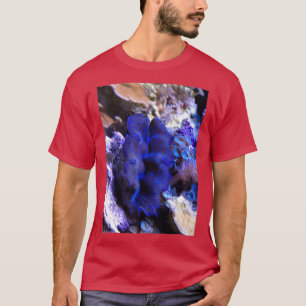 Camiseta Tridacna crocea