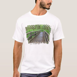 Camiseta trilha Maple Glade ponte de madeira, samambaias e