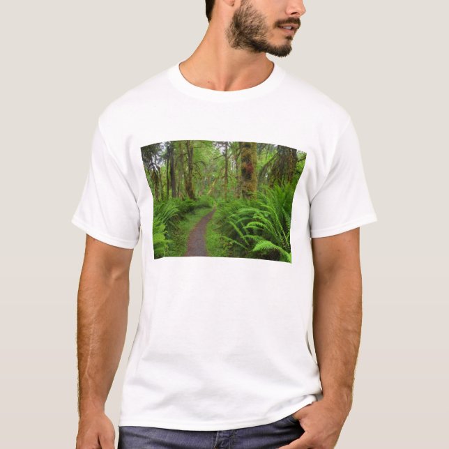 Camiseta trilha Maple Glade, samambaias e musgo cobertos (Frente)