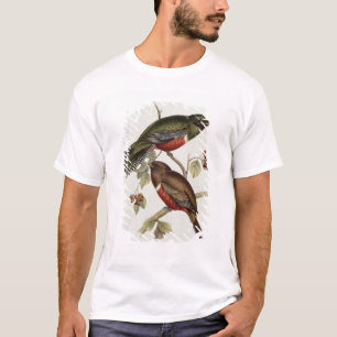 Camiseta Trogon Collaris