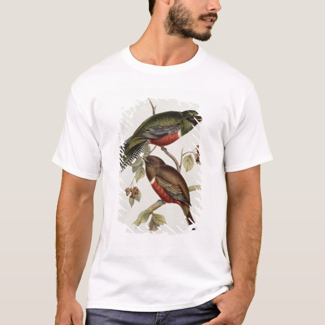 Camiseta Trogon Collaris (Frente)