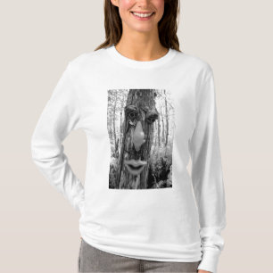 Camiseta Troll da árvore em uma árvore Big Cypress.