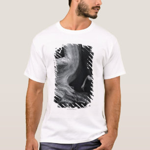 Camiseta Tronco de árvore inoperante