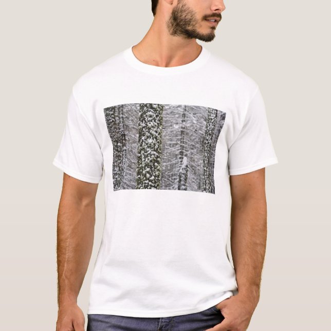 Camiseta troncos de árvores cobertos de neve no vale de Yos (Frente)