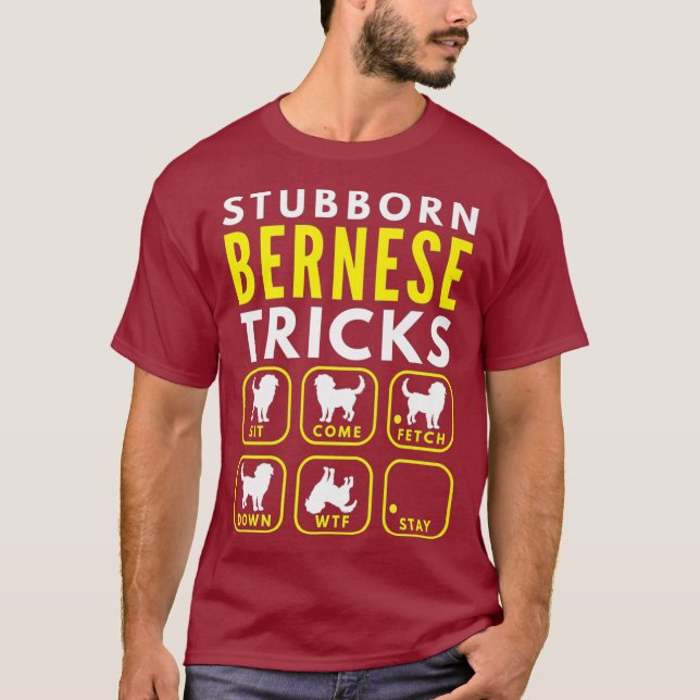 Camiseta Truques Berneses Stubborn - Prêmio de Formação de  (Frente)