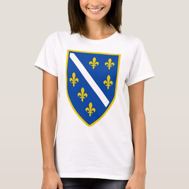 Camiseta ts.png (Frente)
