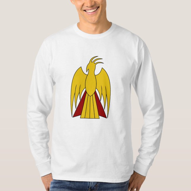 Camiseta TSDS Arisdale (Frente)
