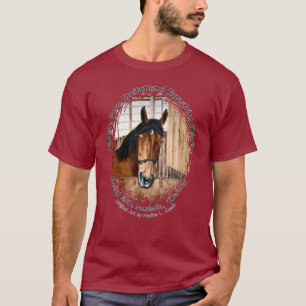 Camiseta Tshirt, baile 2012 com convite da fazenda de