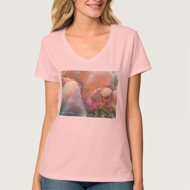 Camiseta Tshirt da enguia (Frente)