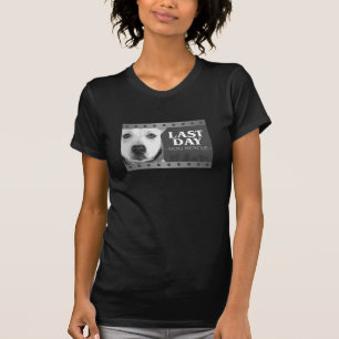Camiseta Tshirt destruído